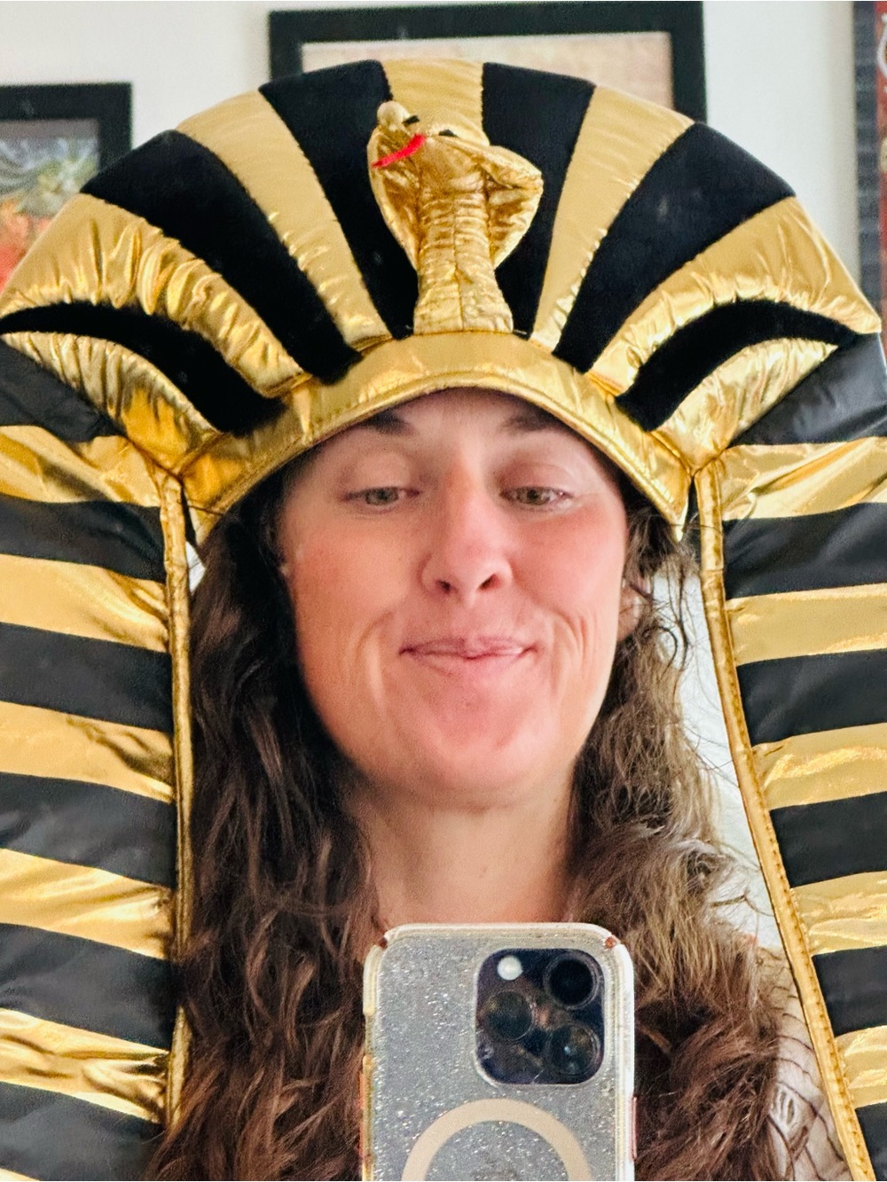 Gold and Black Pharaoh Headdress Costume